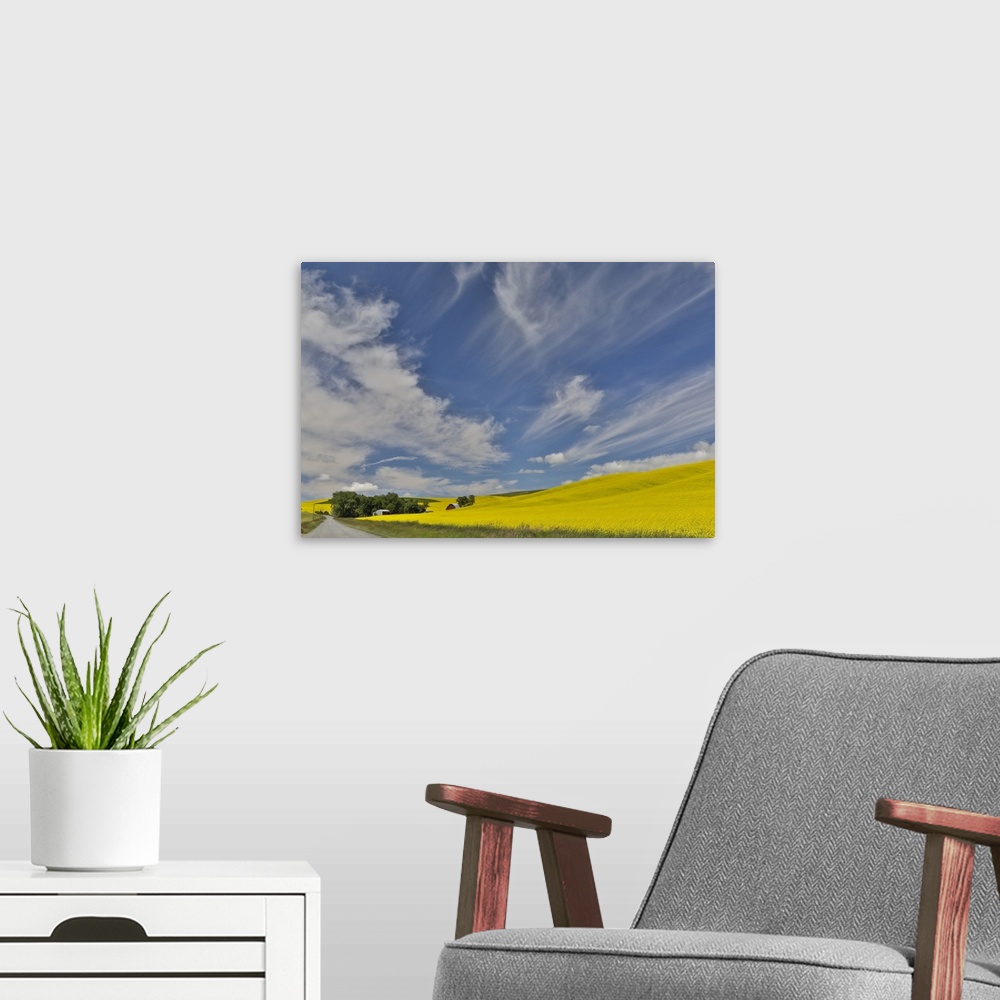 A modern room featuring Red barn and gravel dirt road through canola field, Eastern Washington