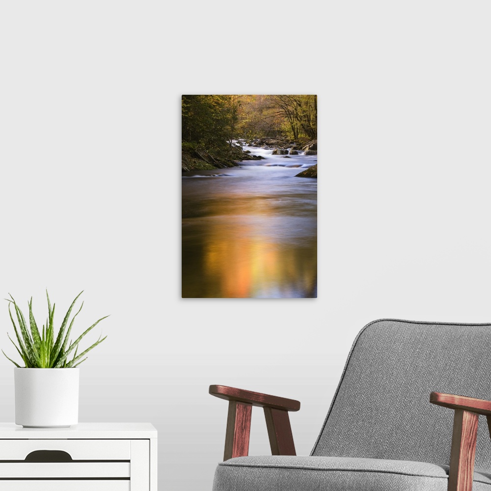 A modern room featuring Reflections of fall foliage in creek, Smoky Mountain National Park, Tennessee.