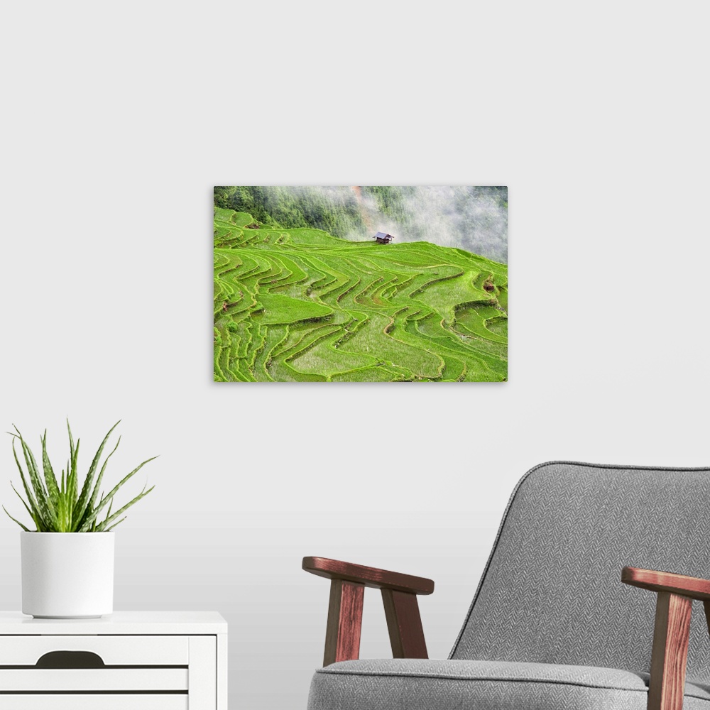 A modern room featuring Rice terraces in the mountain in morning mist, Jiabang, Guizhou Province, China