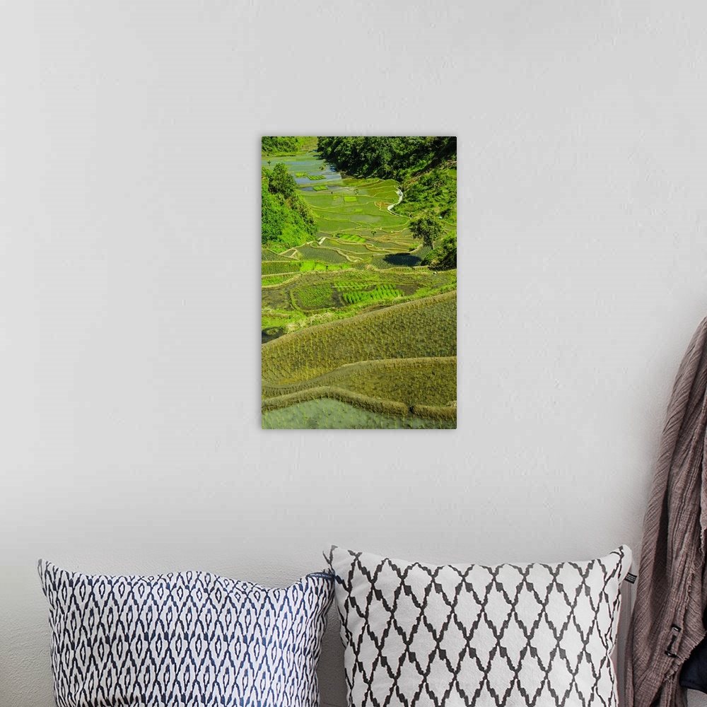 A bohemian room featuring Rice terraces of Banaue, Northern Luzon, Philippines.
