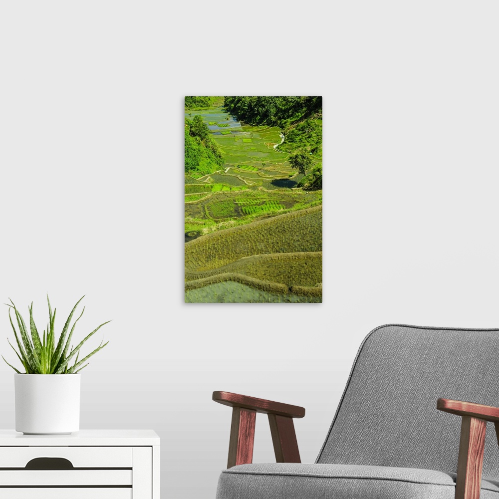 A modern room featuring Rice terraces of Banaue, Northern Luzon, Philippines.