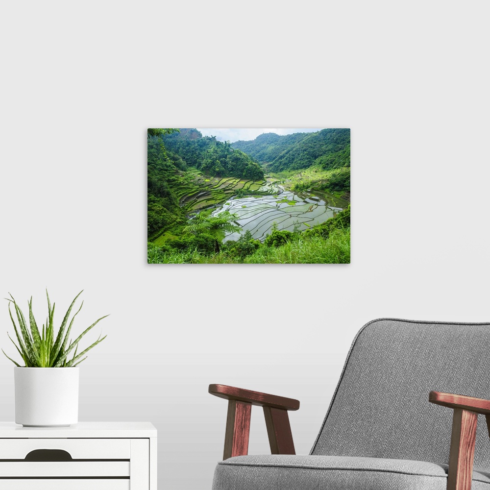 A modern room featuring Rice terraces of Banaue, Northern Luzon, Philippines.