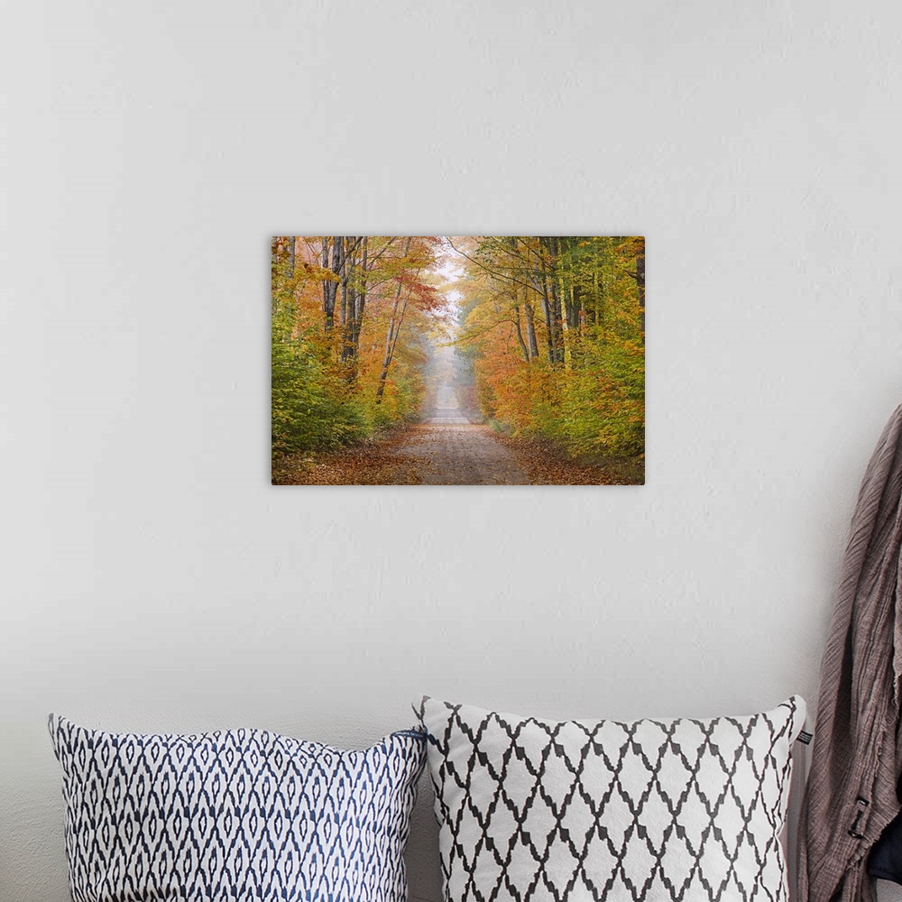A bohemian room featuring Road in fall color Schoolcraft County Upper Peninsula Michigan