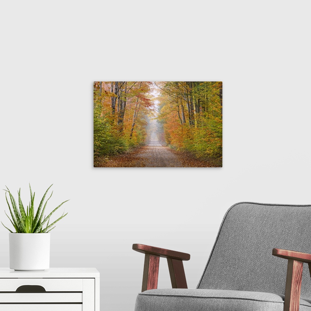 A modern room featuring Road in fall color Schoolcraft County Upper Peninsula Michigan