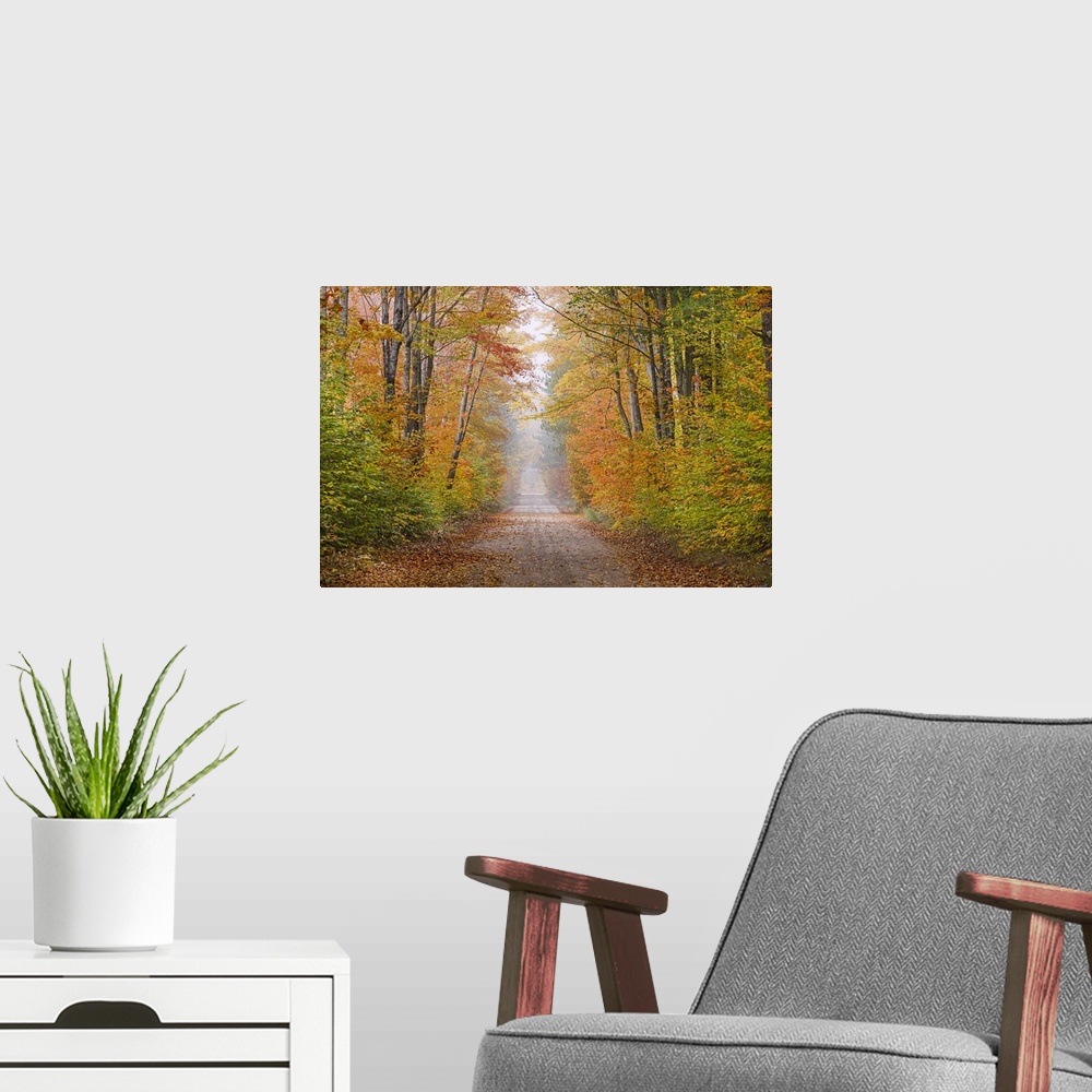 A modern room featuring Road in fall color Schoolcraft County Upper Peninsula Michigan