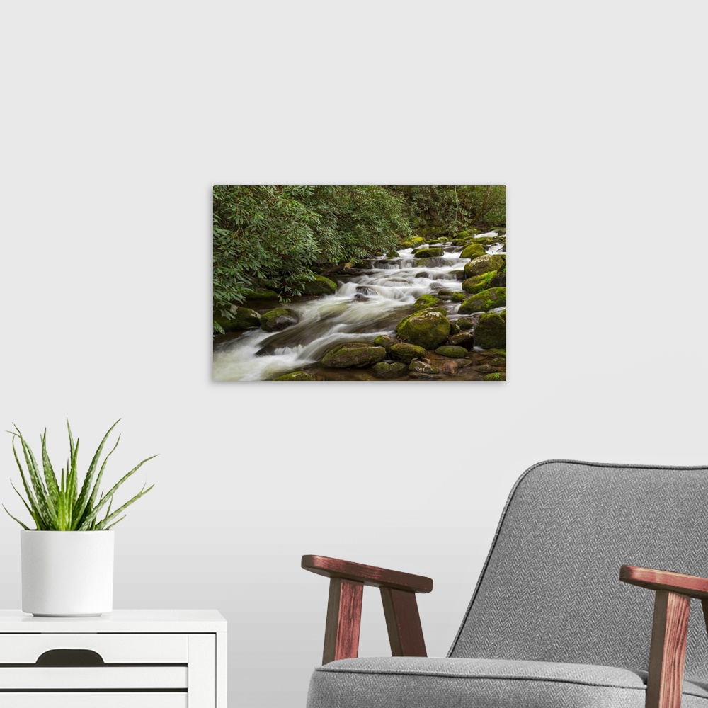 A modern room featuring Roaring Fork flowing over moss covered boulders, Roaring Fork Motor Nature Trail, Great Smoky Mou...