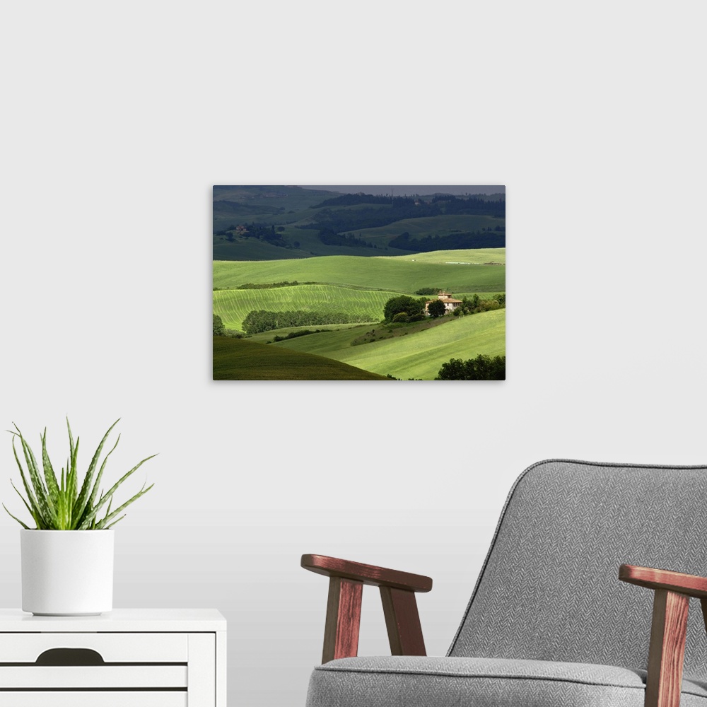 A modern room featuring Rolling agricultural farm fields and dappled sunlight, Tuscany, Italy.