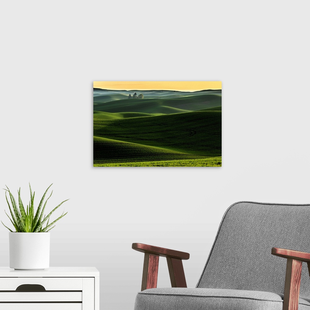 A modern room featuring Rolling hills covered in wheat at sunset, Palouse region of eastern Washington.