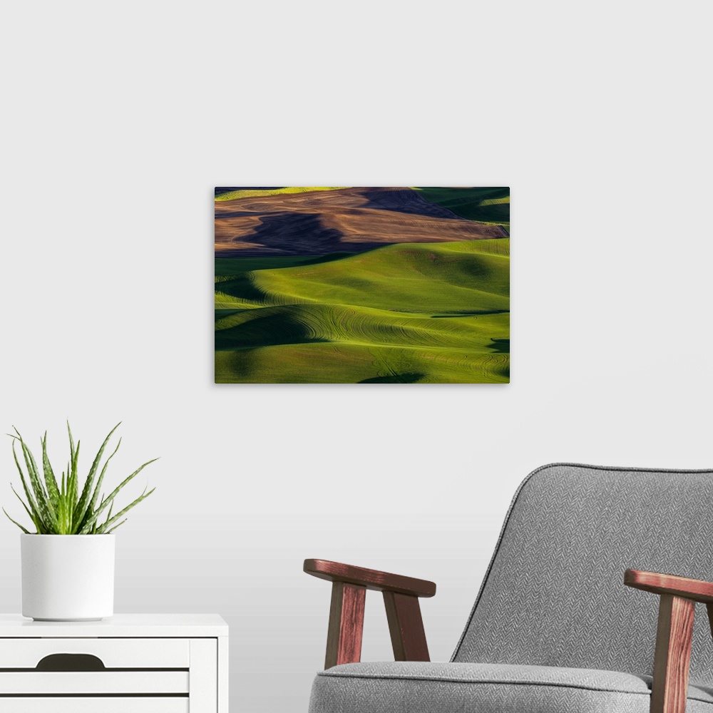 A modern room featuring Rolling hills of wheat from Steptoe Butte near Colfax, Washington State, USA.