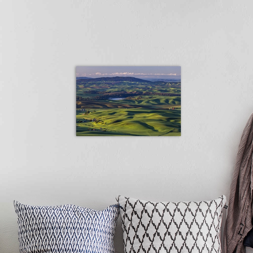 A bohemian room featuring Rolling hills with barns from Steptoe Butte near Colfax, Washington State, USA.