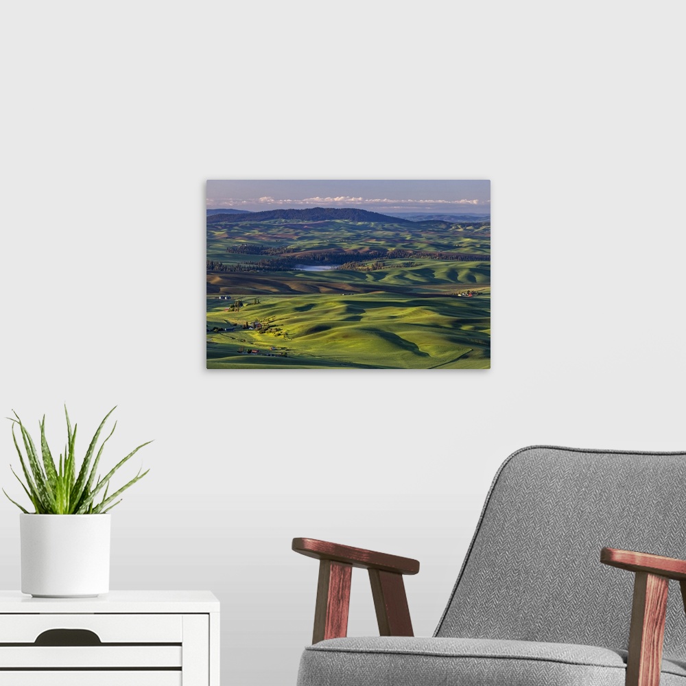 A modern room featuring Rolling hills with barns from Steptoe Butte near Colfax, Washington State, USA.