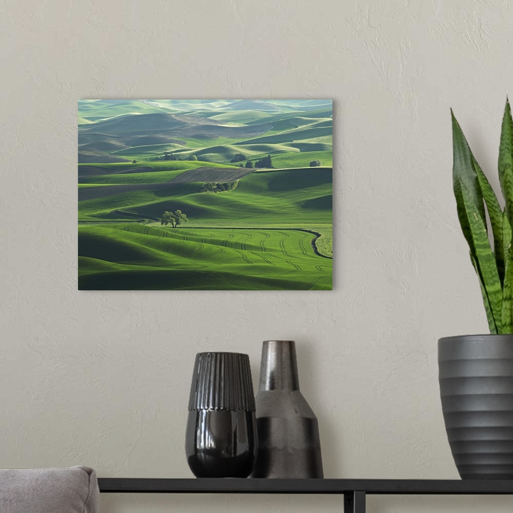 A modern room featuring The rolling Palouse Hills of eastern Washington are covered with vibrant shades of green in spring.