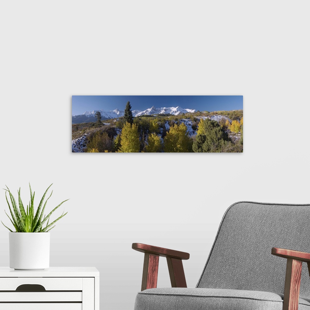 A modern room featuring San Juan Mountains and Aspen trees in fallcolor at sunrise, Dallas Divide, Ouray, Rocky Mountains...
