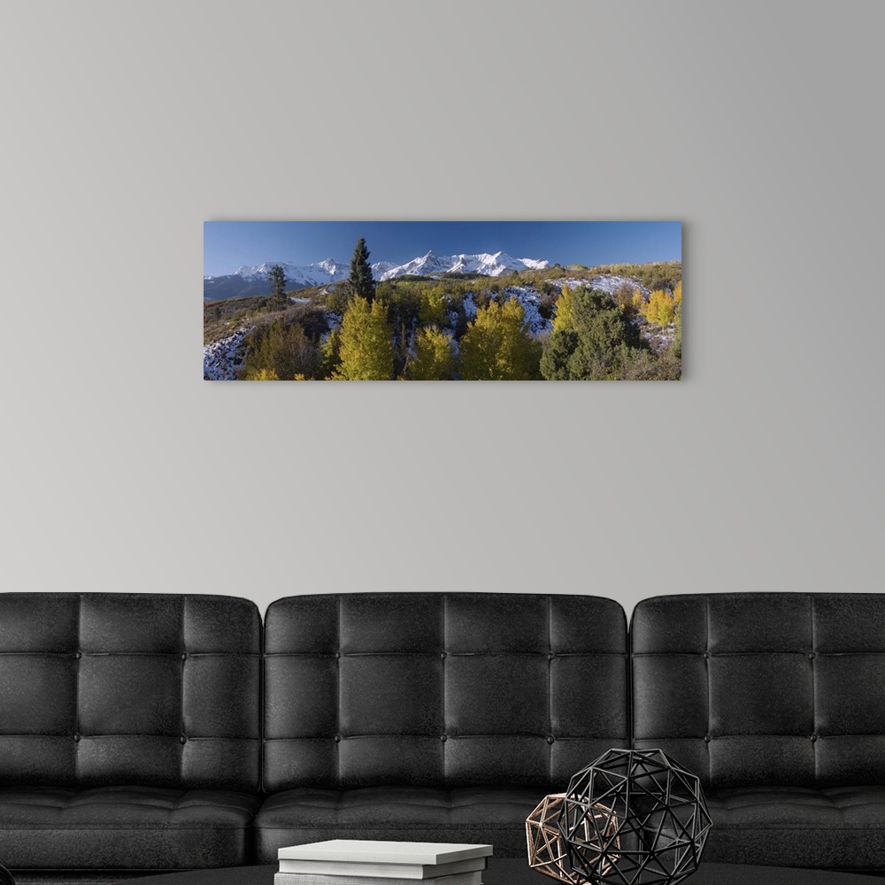 A modern room featuring San Juan Mountains and Aspen trees in fallcolor at sunrise, Dallas Divide, Ouray, Rocky Mountains...