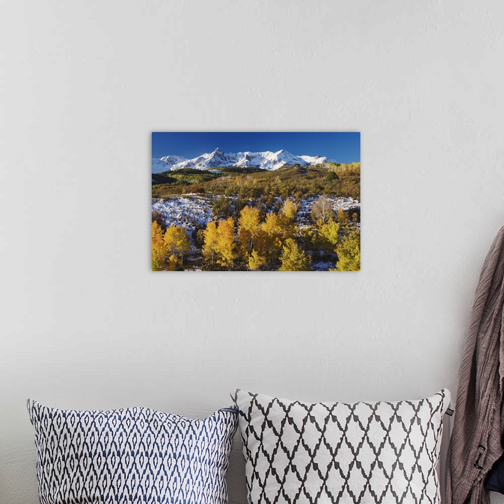 A bohemian room featuring San Juan Mountains and Aspen trees in fallcolor at sunrise, Dallas Divide, Ouray, Rocky Mountains...