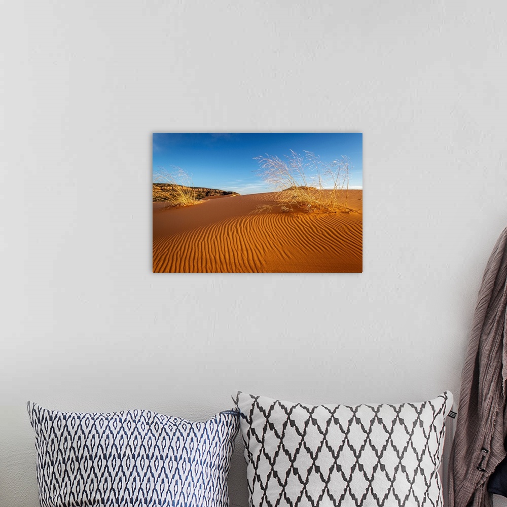 A bohemian room featuring Sand Dunes And Grass, Coral Pink Sand Dunes State Park, Kane County, Utah, USA