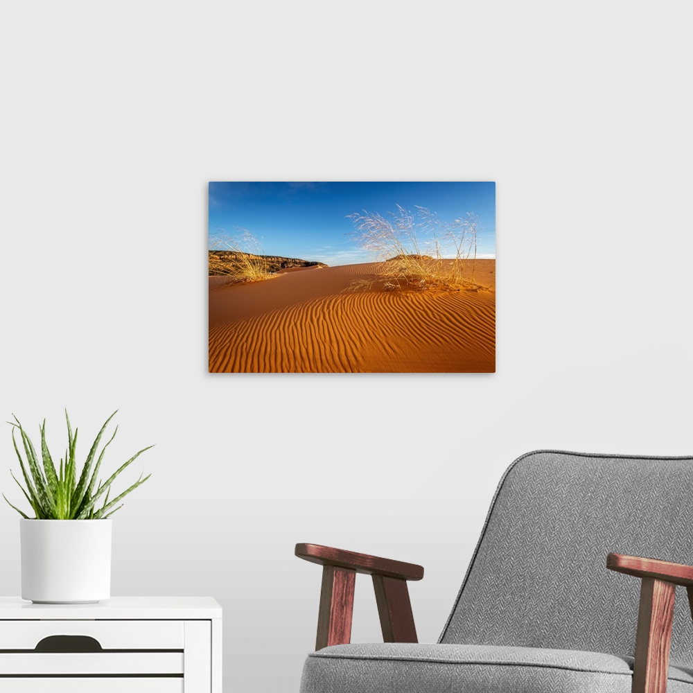 A modern room featuring Sand Dunes And Grass, Coral Pink Sand Dunes State Park, Kane County, Utah, USA