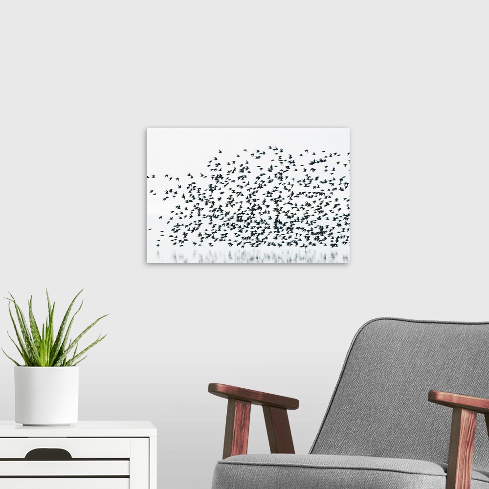 A modern room featuring Sandpipers, Boundary Bay, British Columbia