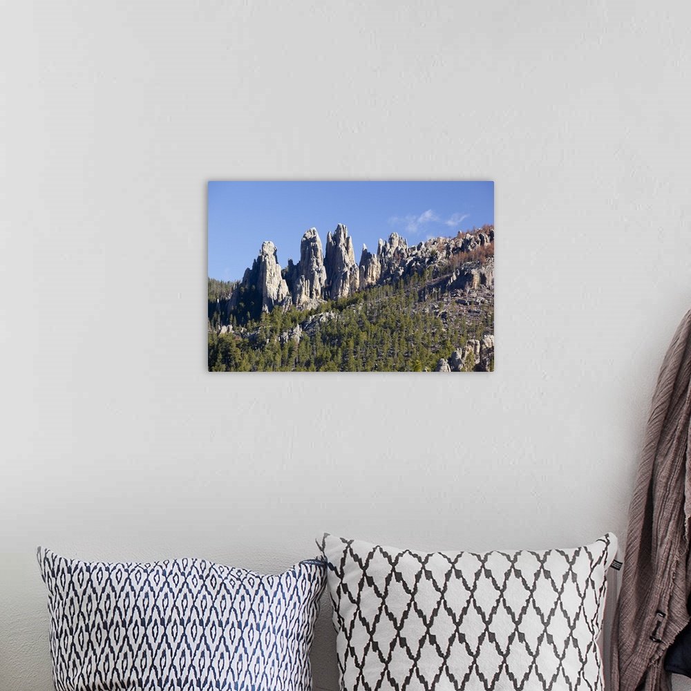 A bohemian room featuring SD, Custer State Park, Needles Highway, Cathedral Spires, granite rock formations