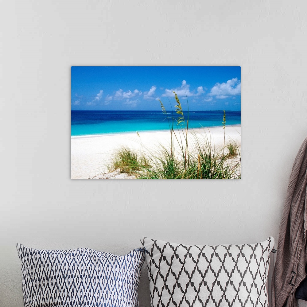 A bohemian room featuring Sea oats, pink sand beach, Eleuthera Island, Bahamas.