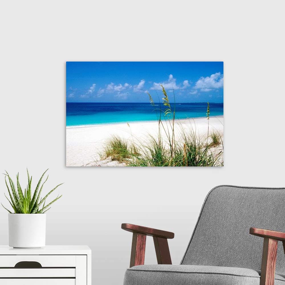A modern room featuring Sea oats, pink sand beach, Eleuthera Island, Bahamas.