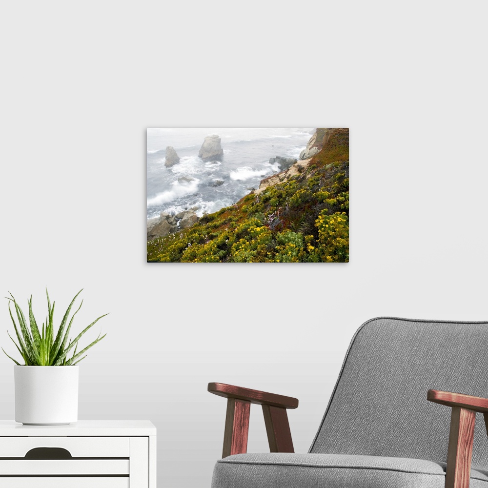 A modern room featuring Sea stacks and wildflowers (Garrapata State Park), California