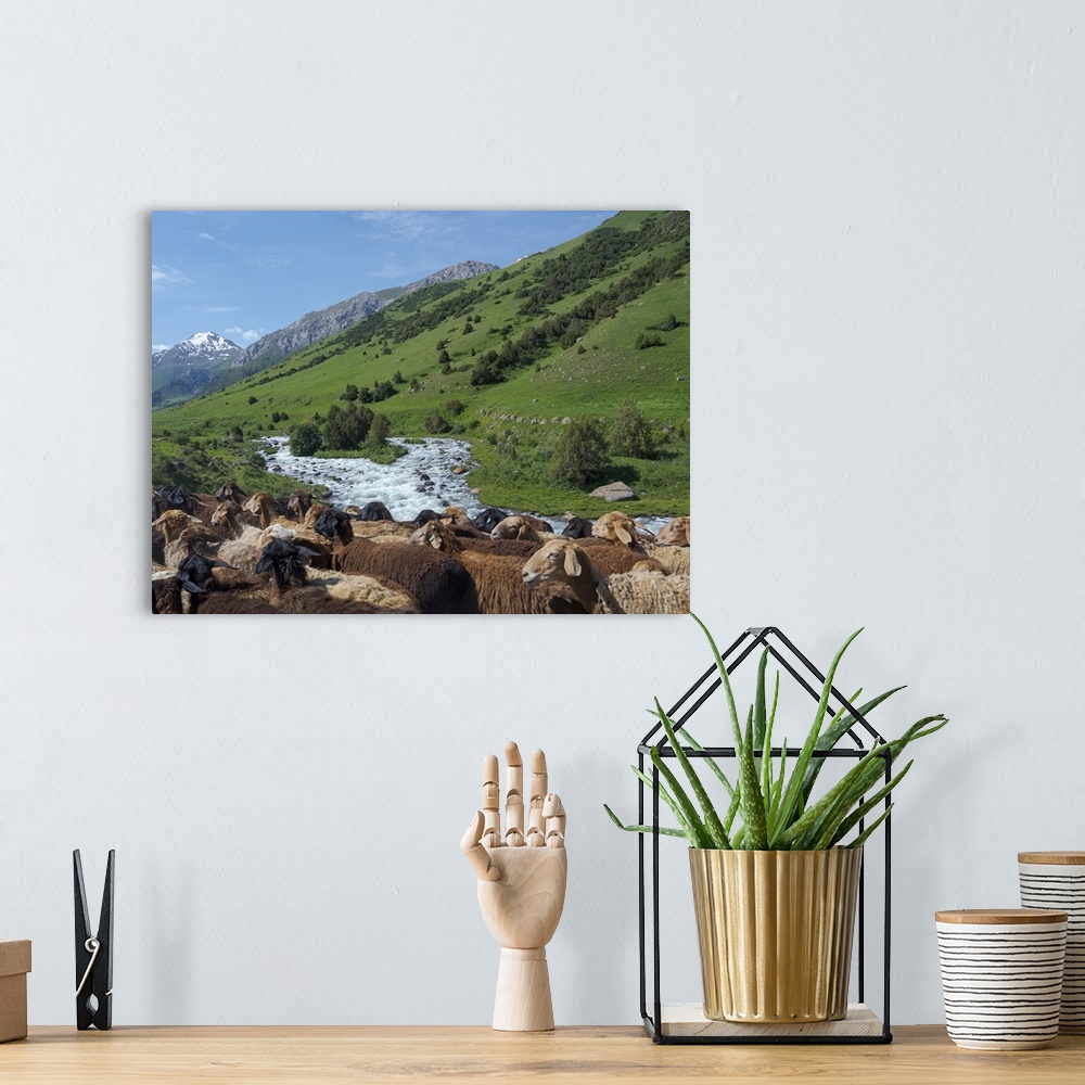 A bohemian room featuring Sheep drive to their high altitude summer pasture. National park Besch Tasch in the talas Alatoo ...