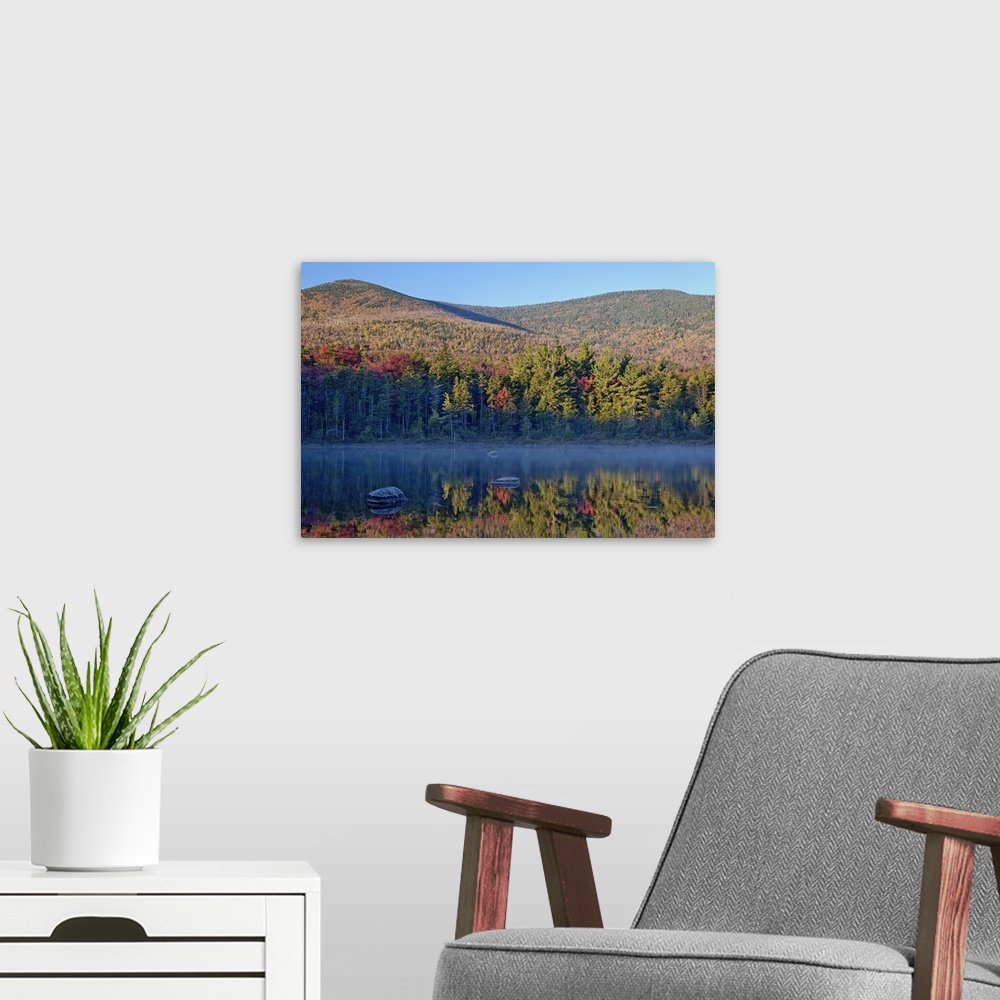 A modern room featuring Shoreline reflection, Lily Pond, White Mountain National Forest, New Hampshire