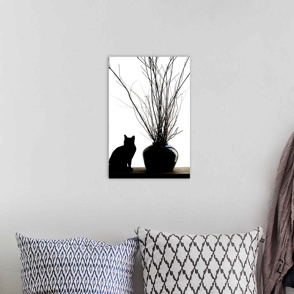 A bohemian room featuring Silhouetted image of a cat by a flower pot, Los Angeles, Califonia, USA.