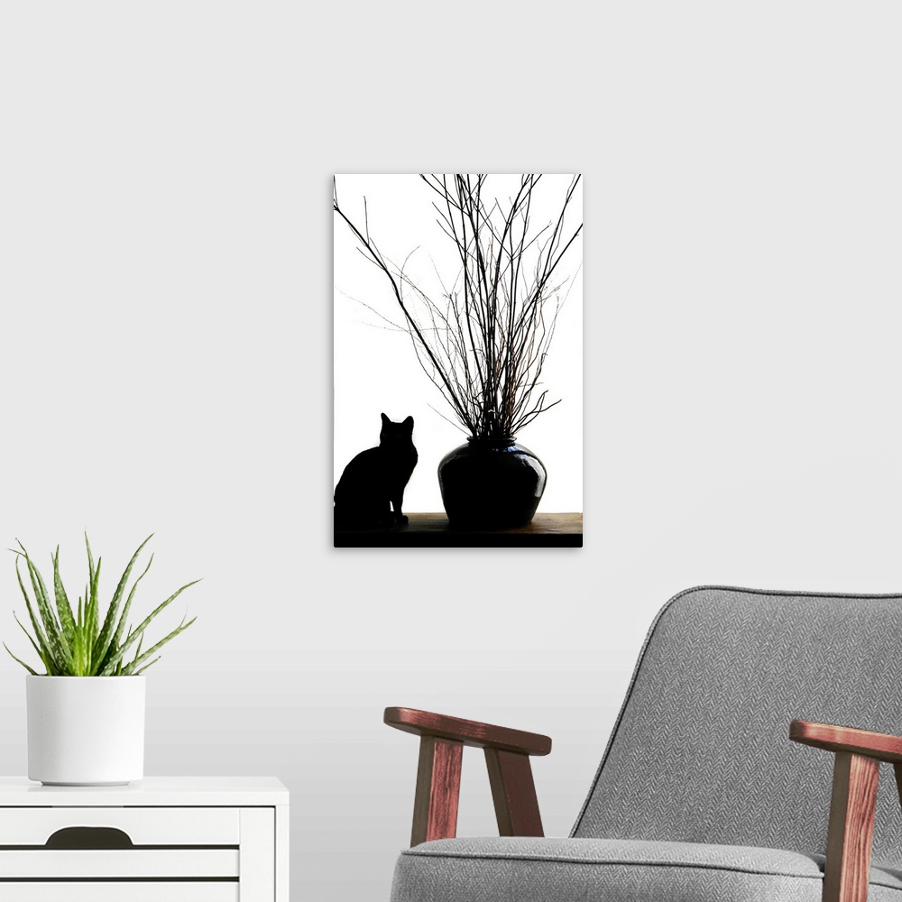 A modern room featuring Silhouetted image of a cat by a flower pot, Los Angeles, Califonia, USA.