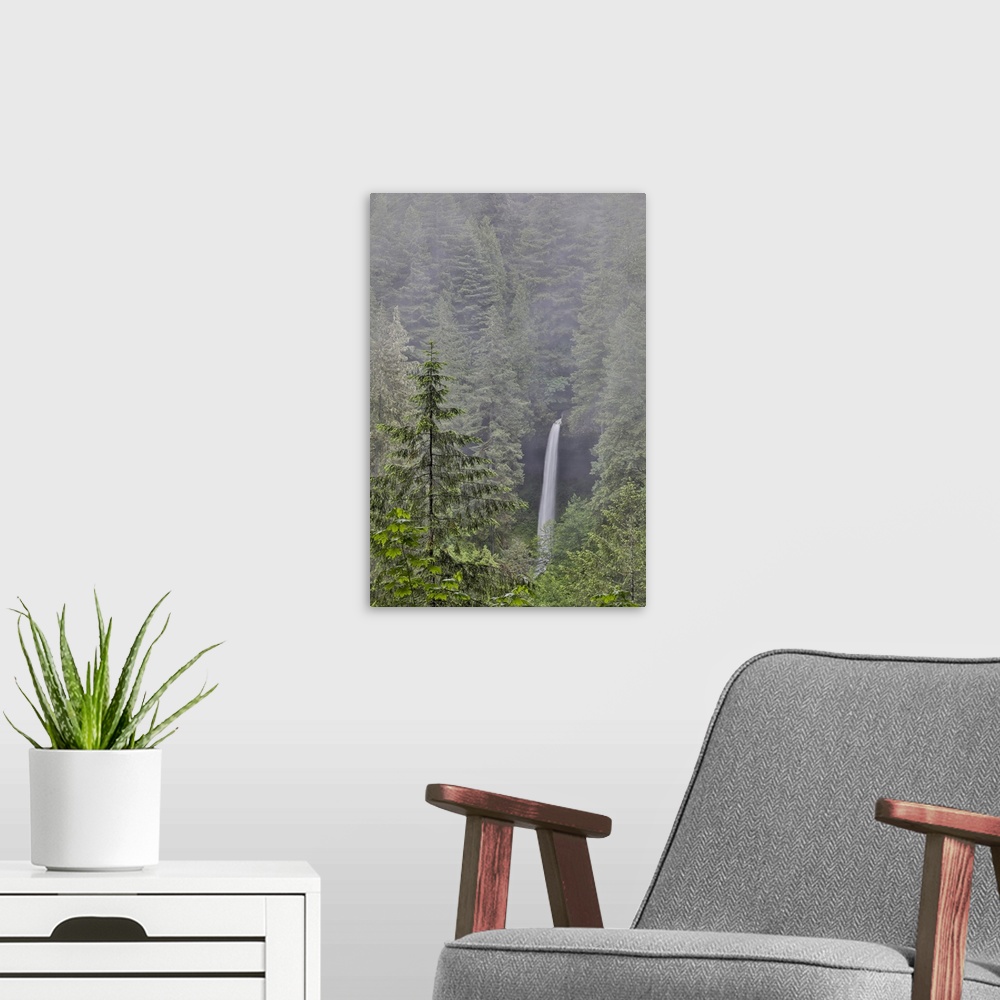 A modern room featuring USA, North America, Oregon. Silver Falls State Park, Oregon, North Falls Viewed Through Evergreen...