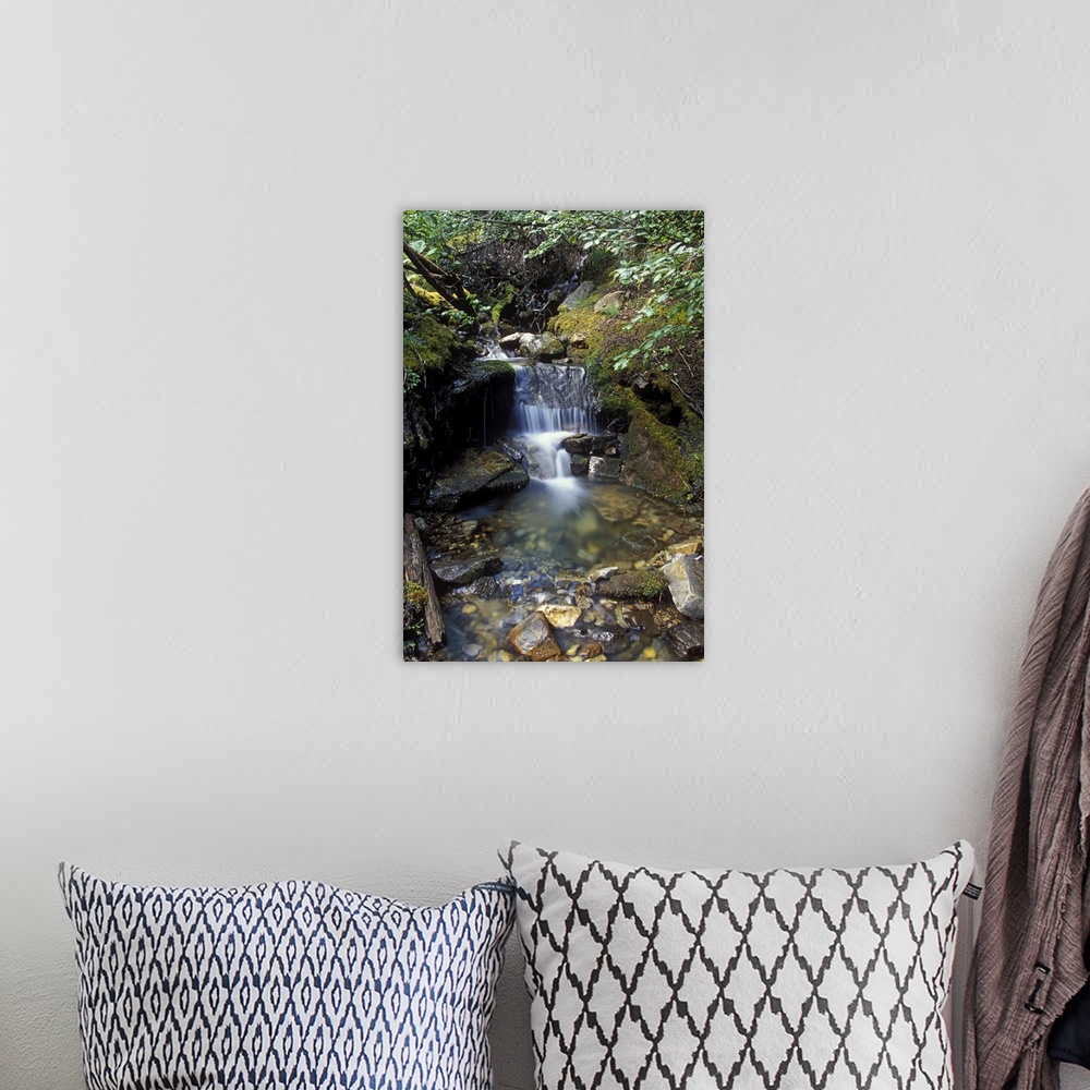 A bohemian room featuring Small waterfall along creek in Jasper National Park, Canada.