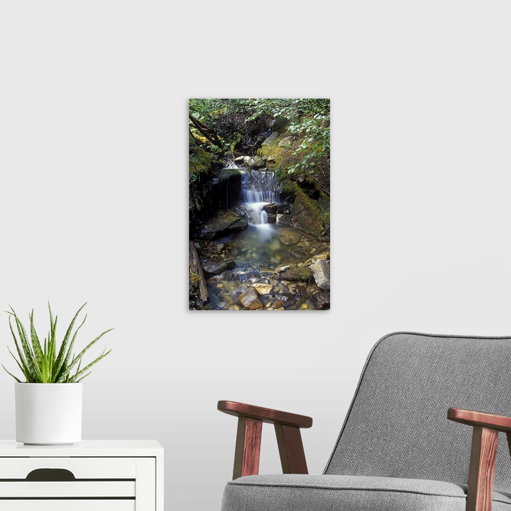 A modern room featuring Small waterfall along creek in Jasper National Park, Canada.
