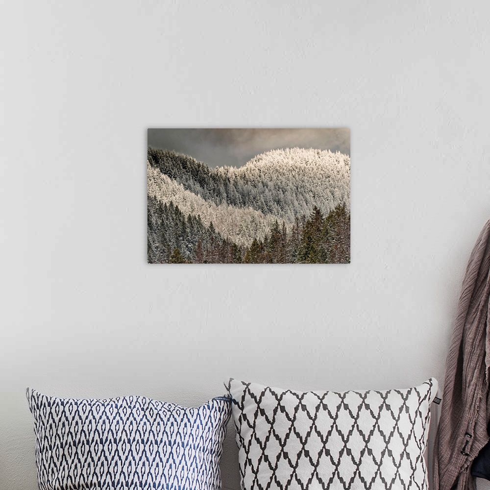 A bohemian room featuring Snow-covered trees on mountain.
