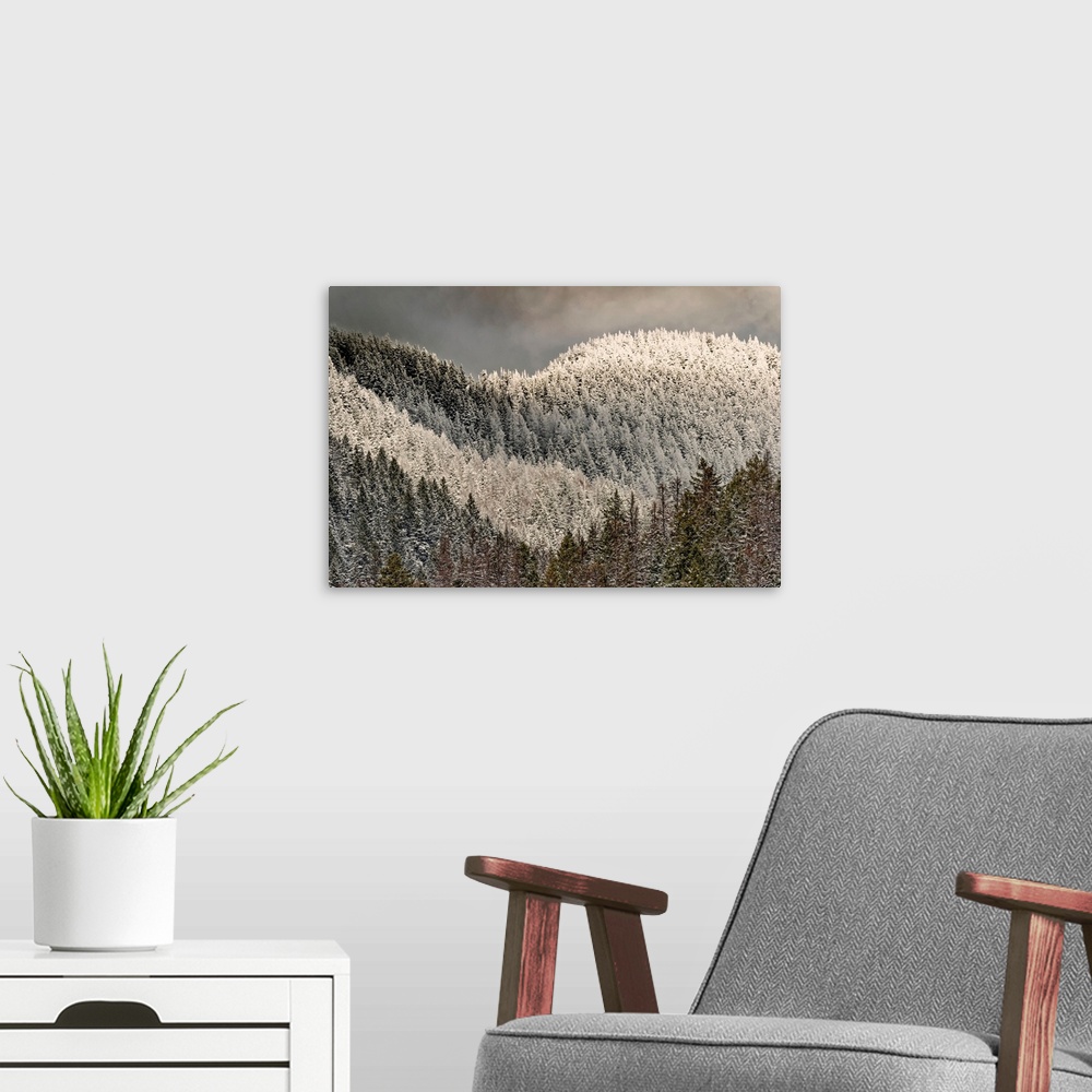 A modern room featuring Snow-covered trees on mountain.
