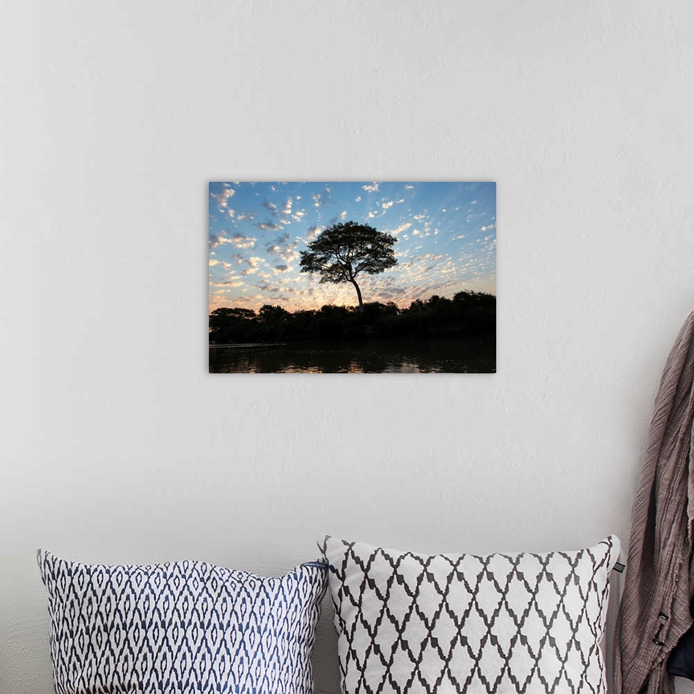 A bohemian room featuring South America, Brazil, The Pantanal, Rio Negro. Fluffy clouds dot the sky at sunset over the Rio ...