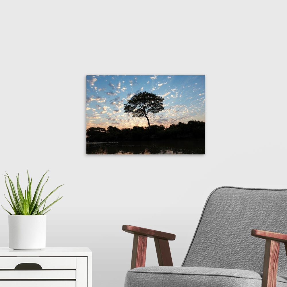 A modern room featuring South America, Brazil, The Pantanal, Rio Negro. Fluffy clouds dot the sky at sunset over the Rio ...