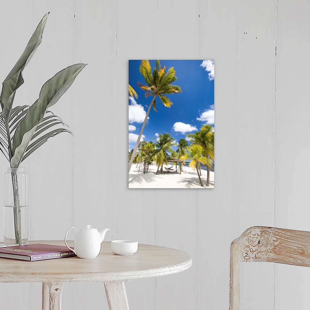 A farmhouse room featuring Southern Cross Club, Little Cayman, Cayman Islands, Caribbean.