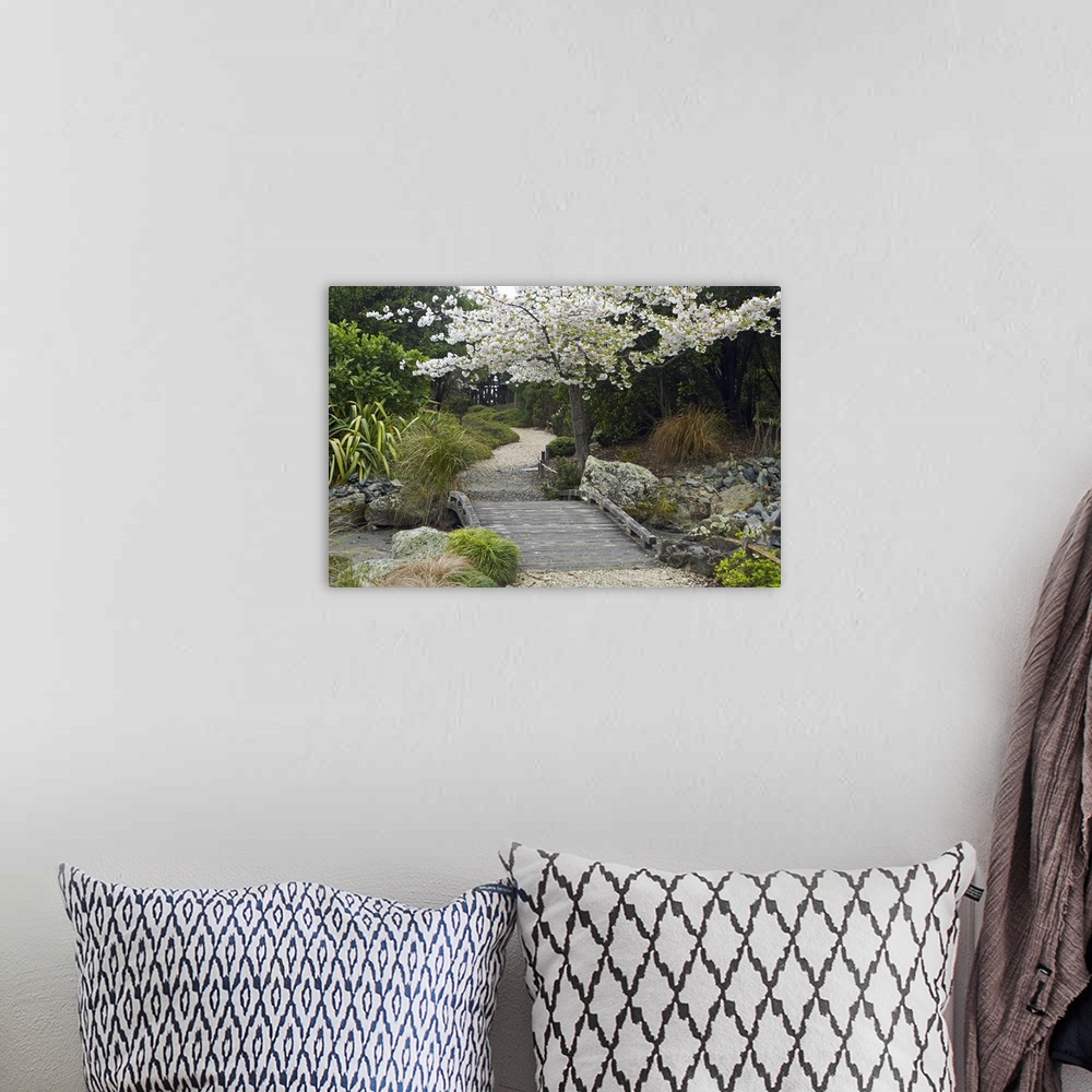 A bohemian room featuring Spring Blossom, Miyazu Japanese Garden, Nelson, South Island, New Zealand
