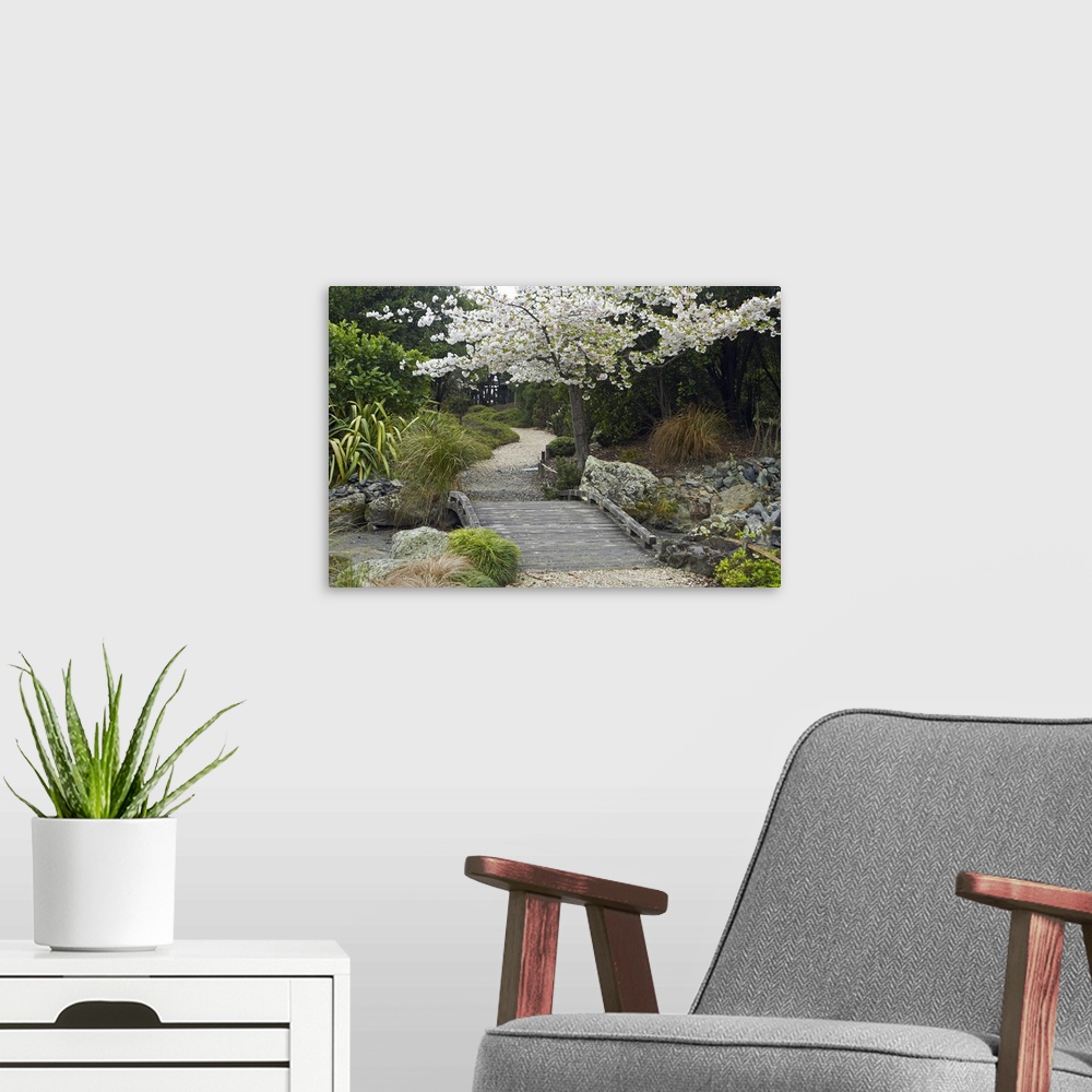 A modern room featuring Spring Blossom, Miyazu Japanese Garden, Nelson, South Island, New Zealand