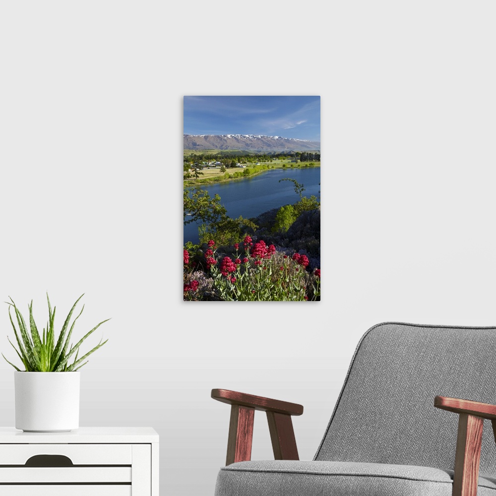 A modern room featuring Spring flowers, Lake Dunstan, Cromwell, and Pisa Range, Central Otago, South Island, New Zealand.