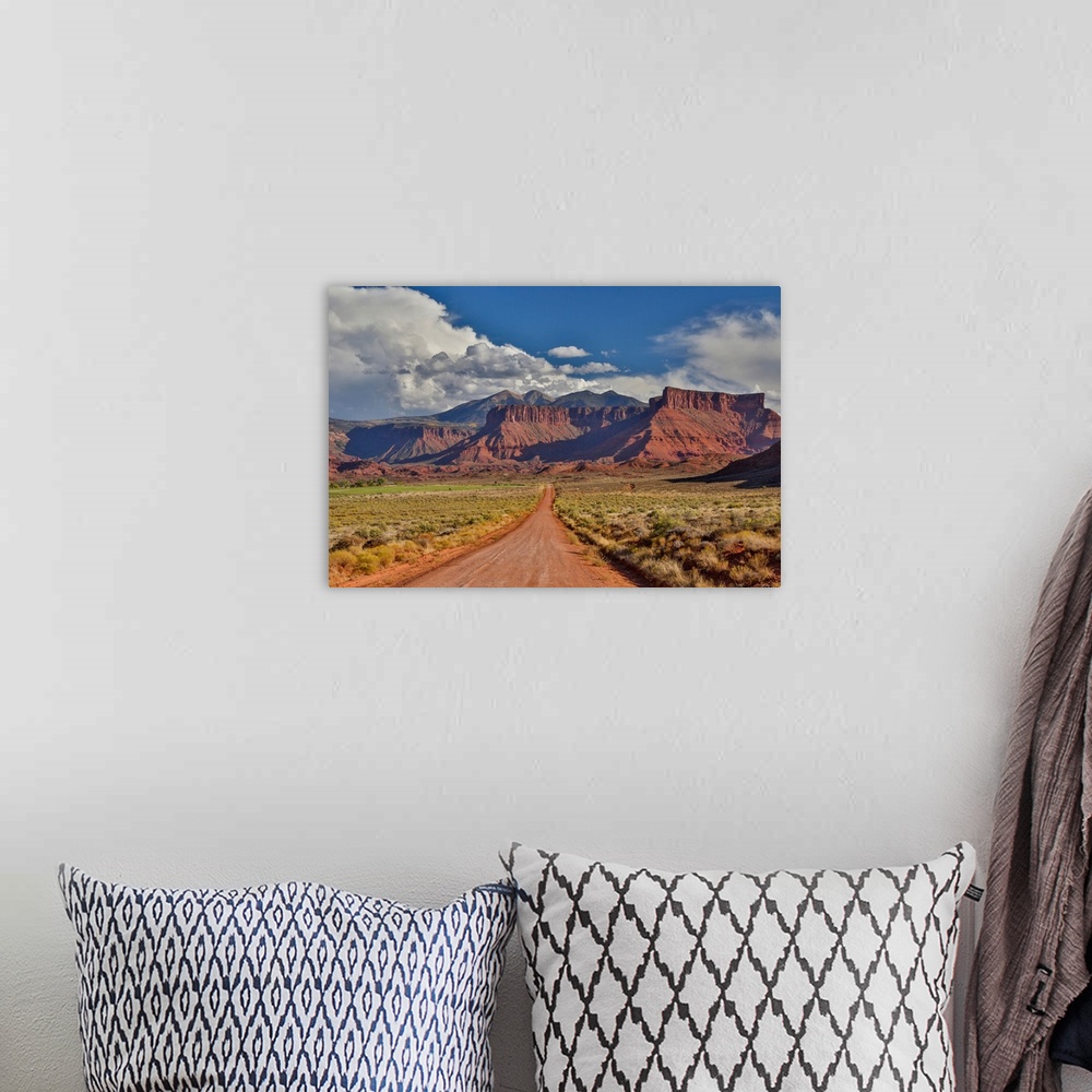 A bohemian room featuring Straight dirt road leading into Professor Valley, Utah