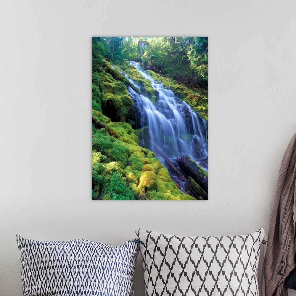 A bohemian room featuring Sunlight filters onto Proxy Falls in the central Oregon Cascades.
