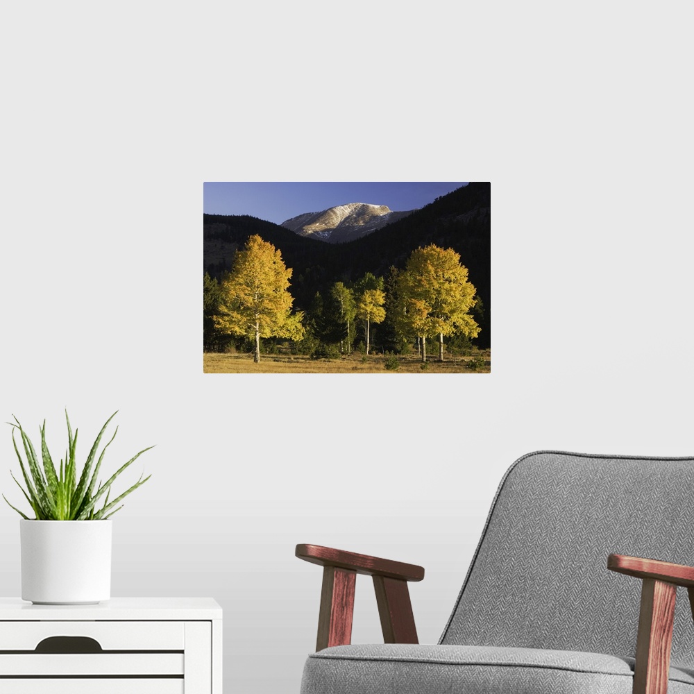 A modern room featuring Sunrise over Mummy Range with Aspen trees in fallcolor, Rocky Mountain National Park, Colorado, U...
