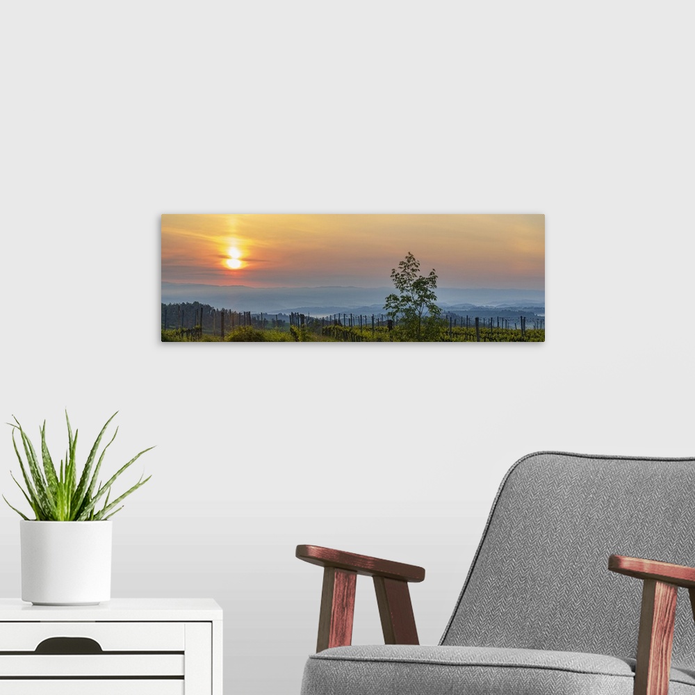 A modern room featuring Sunrise over the vineyards of Tuscany. Tuscany, Italy.