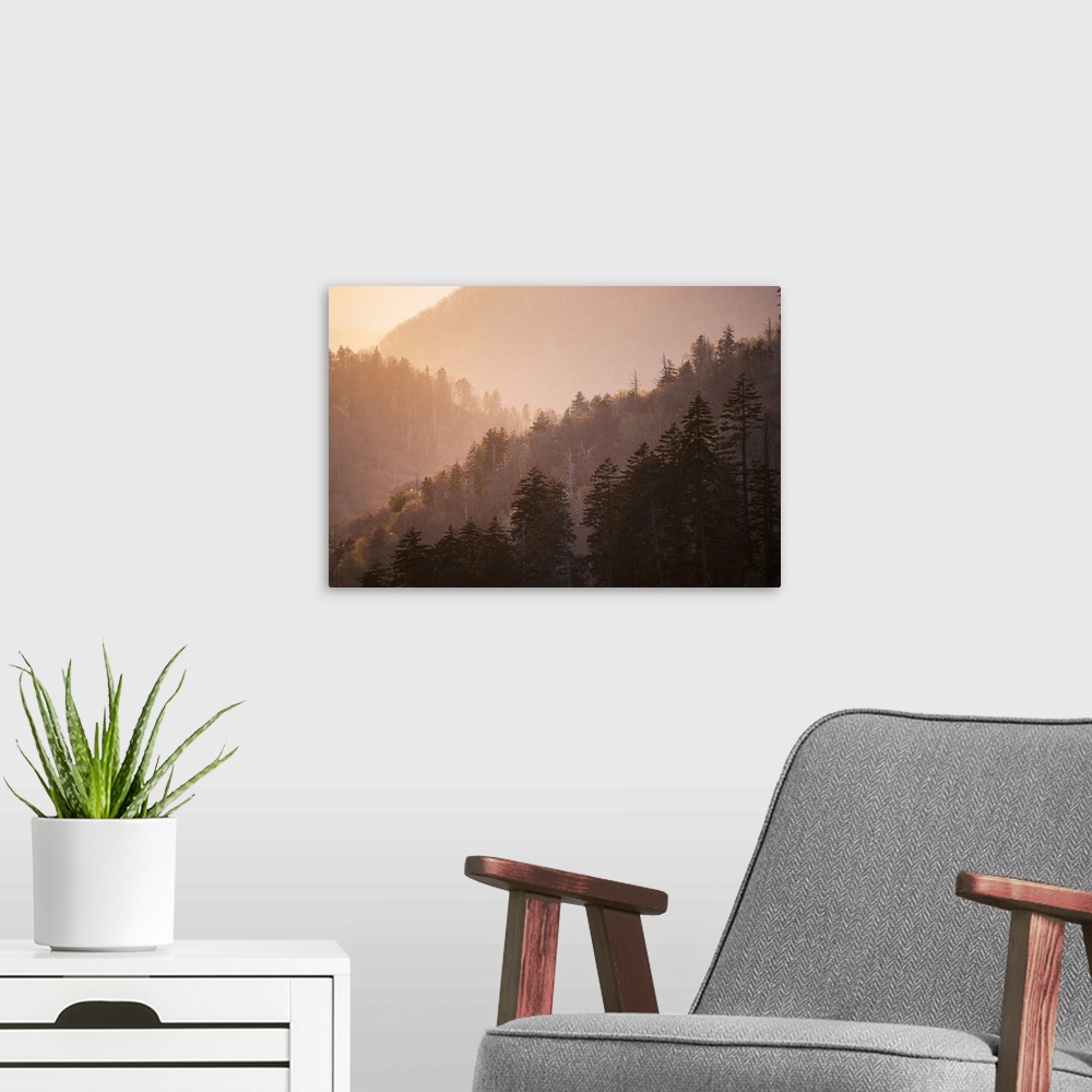 A modern room featuring Sunset from Morton Overlook, Great Smoky Mountains National Park, Tennessee. United States, Tenne...
