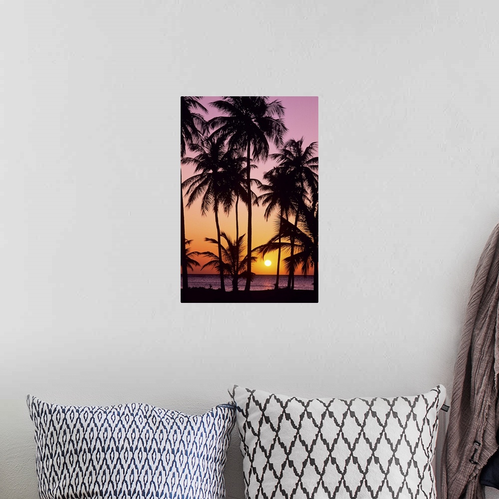 A bohemian room featuring Sunset in the Saint Anne area on the island of Martinique in the Caribbean Sea.
