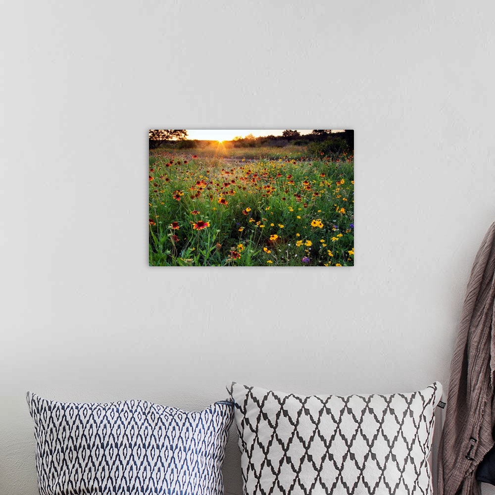A bohemian room featuring Sunset on Texas wildflowers