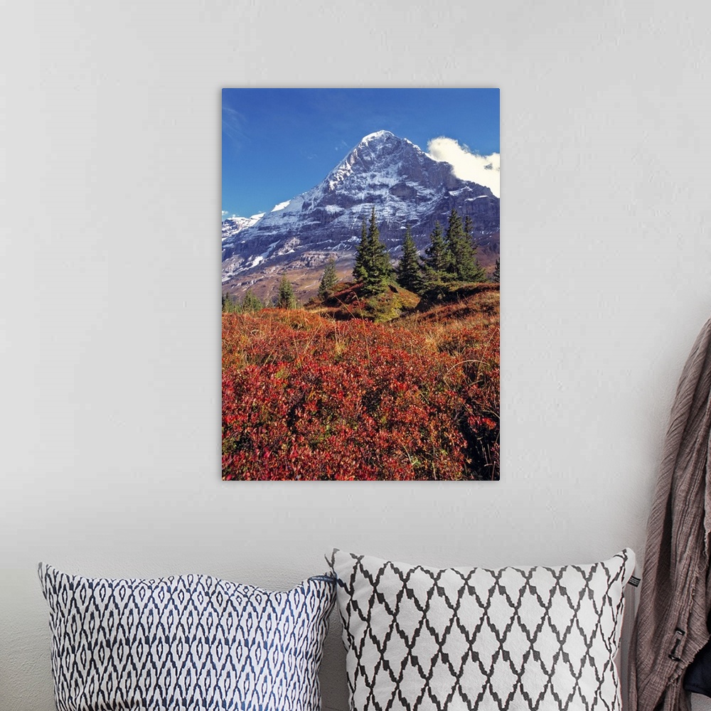 A bohemian room featuring Europe, Switzerland, Eiger. Vibrant red foliage colors the trail below the Eiger, a World Heritag...