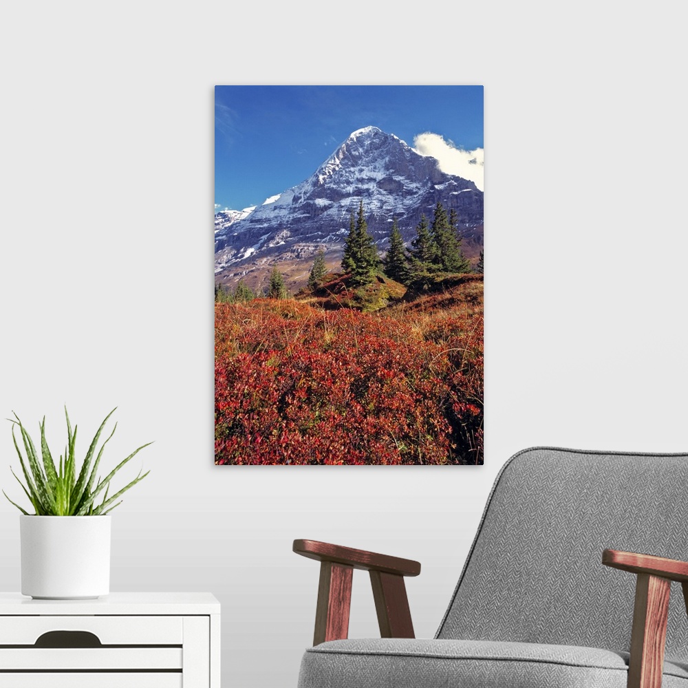 A modern room featuring Europe, Switzerland, Eiger. Vibrant red foliage colors the trail below the Eiger, a World Heritag...